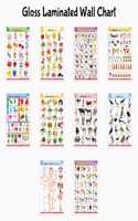 Toddler Learning English-Hindi Poster Pack : Alphabet, Fruits, Vegetables, Animals, Birds, Body Parts, Numbers, Hindi Varnmala, Shapes & Colours and Flowers - Glossy Lamination (Set of 10)