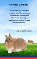 Lionhead Rabbit