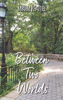 Between Two Worlds: A Year in the Life of Riverside Park, NYC