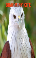 Brahminy kite: Beautiful Pictures & Interesting Facts Children Book About Brahminy kite