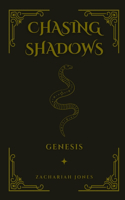 Chasing Shadows
