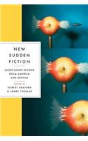 New Sudden Fiction