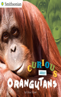 Curious About Orangutans: (Smithsonian)