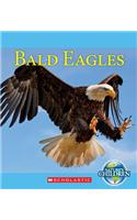 Bald Eagles