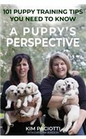 Puppy's Perspective