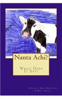 Nanta Achi?
