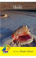 Shells