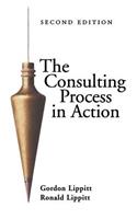 The Consulting Process in Action