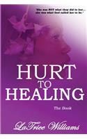 Hurt To Healing - The Book