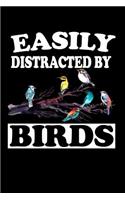 Easily Distracted By Birds