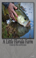 Little Florida Farm