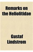 Remarks on the Heliolitidae