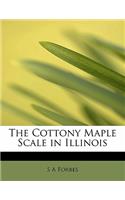 The Cottony Maple Scale in Illinois