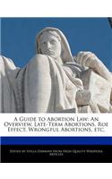 A Guide to Abortion Law