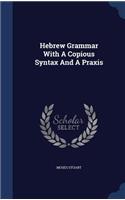 Hebrew Grammar With A Copious Syntax And A Praxis
