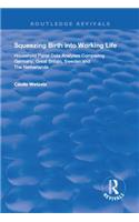 Squeezing Birth into Working Life