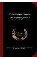 White Hulless Popcorn