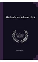 The Cambrian, Volumes 12-13