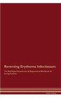 Reversing Erythema Infectiosum The Raw Vegan Detoxification & Regeneration Workbook for Curing Patients