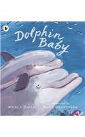 Dolphin Baby