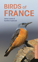 Birds of France