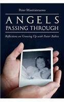 Angels Passing Through: Reflections on Growing Up with Foster Babies(English)