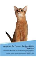 Abyssinian Cat Presents