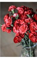 A Bouquet of Red Carnations Flower Journal: 150 Page Lined Notebook/Diary(English)