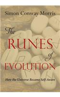 Runes of Evolution