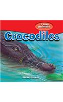 Crocodiles