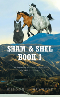 Sham & Shel Book 1