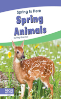 Spring Animals: (Spring Is Here)