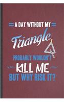 A Day Without My Triangle Probably Wouldn't Kill Me but Why Risk It