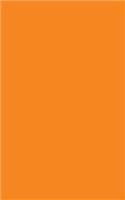 Portable Notebook: Orange