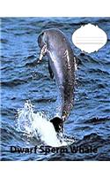 Dwarf Sperm Whale Wide Ruled Line paper Composition Book: Whale fans, Elementary Students, school supplies, Teen jpurnals, Large Handwriting