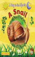 Snail