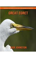 Great Egret: Amazing Pictures & Fun Facts on Animals in Nature