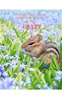 If You Don't Like Chipmunks You Must Be Crazy: A Large Cute Chipmunks Notebook Journal (A4 Sized 8.5 X 11)