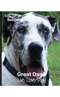 Great Dane - Live Love Dogs!