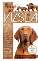 Vizsla