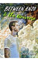 Between Enzo and the Universe