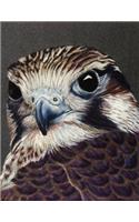 Falcon Notebook: 8.5 X 11 202 College Ruled Pages