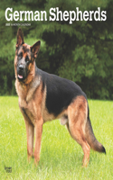 German Shepherds 2025 Square Wrap