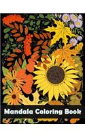 Mandala Coloring Book