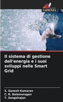 sistema di gestione dell'energia e i suoi sviluppi nelle Smart Grid