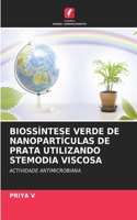 Biossíntese Verde de Nanopartículas de Prata Utilizando Stemodia Viscosa