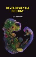 Developmental Biology