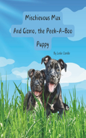 Mischievous Max and Gizmo, The Peek-a-Boo Puppy: (The Great Adventures of Mischievous Max)