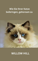 Wie Sie Ihrer Katze beibringen, gehorsam zu