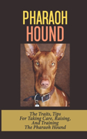 Pharaoh Hound: The Traits, Tips For Taking Care, Raising, And Training The Pharaoh Hound: Feeding Pharaoh Hounds